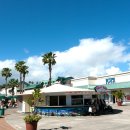 다시오리 이미지