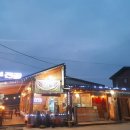 [충청북도 진천군] 초평호 미르309 출렁다리