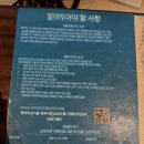 하와이안훌라 | 힐튼 하와이안 빌리지 와이키키 오션뷰 후기 | 주차, 리조트피, 수영장 부대시설