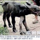 진장농장 이미지