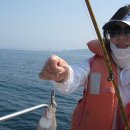 관광 꿈꾸는숲 펜션 이미지