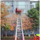 하나익스프레스 | 합리적인 가격과 꼼꼼한 서비스 부천포장이사 하나익스프레스 이용 후기