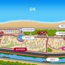 영덕고래불국민야영장 이미지