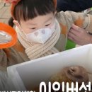 이인농장 이미지