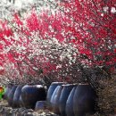 섬진소프트 이미지