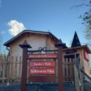 팻 빌리지 | 핀란드 로바니에미 Santa’s pets (산타스 펫) - 산타빌리지 옆에 있는 작은 동물원