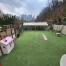 옥자네애견카페 유치원 호텔 미용 | 인천애견동반식당에서의 쾌활한 하루: 옥자네 애견카페 유치원 호텔 미용 이야기