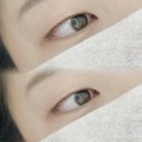 와이오엔 이미지