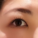 옥정네일피그속눈썹 | 양주 옥정 속눈썹펌 후기 (생장제 사용)