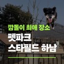 좋은이웃들 | 스타필드 하남 펫파크 무료 애견운동장 후기 &amp; 주말 주차 1시간 아끼는 꿀팁!