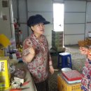 이윤 농장 이미지