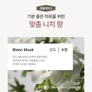 쓰리와우 3waau 샴푸 내돈내산 후기, 트리트먼트까지 직접 써봤어요