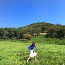 이니스프리서산 | 충남 서산 가볼만한 곳 당진 용비지, 용유지 포토존으로 바로 갈수있는 쉬운 방법과 꿀팁