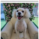 아이조아요양보호소 대구점 이미지