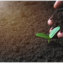 대한농약사 이미지