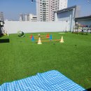 멍린이 회관 이미지