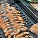 월야88장어 이미지