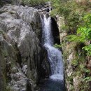 옥녀봉공원 이미지