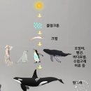 새우정약국 이미지