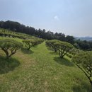 일산목장 이미지