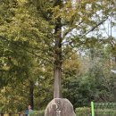 용소웰빙공원(입구) 이미지
