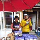 태기산아침의새소리 이미지