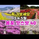 [한국대표 BEST 봄꽃명소 40선] 3·4·5월은 여기만 보고 떠나세요. 이미지