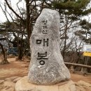 [평일산행]9/29 목 청계산(616) 이미지