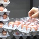 중앙유통농장 이미지