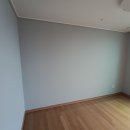 나무 앤 케어 천연백지 도배 후기
