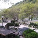 금화농원 이미지