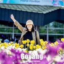 망향공원 버스승강장 옆 | 2026 고양꽃박람회 주차장 일정 일산 호수공원 주말 나들이 후기