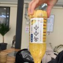 무릉스테이 이미지