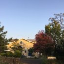 마르타하우스 이미지