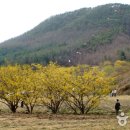 양평산수유펜션 이미지