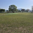 한빛파크 | 영광 한빛파크골프장 예약 요금 휴장 바다 보며 라운딩