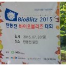 탄동천-1 이미지