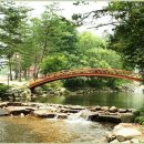 경포대오토캠핑장 이미지