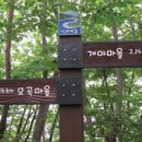 너브내길_1 이미지