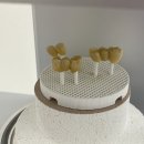 뉴치과기공소 이미지