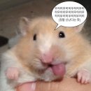 르노삼성자동차서비스코너 반석점(주) | 평범한 목요일 밤 널 보러 갈게 어디든 | 친구 깜짝 선물 해주고 밥먹고 영화쌔리기