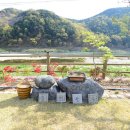 강여울 숲 이미지