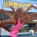 사천만수산물백화점 네이버블로그