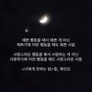 돼지오빠 이미지