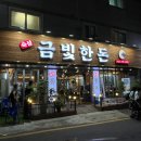 금빛한돈 이미지