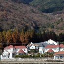 용소리마을회관 이미지