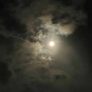 극동주유소 | 토요일, 일요일-8