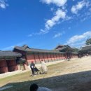 청경초등학교 | 추석 연휴 가족 나들이 할머니 할아버지와 함께한 창경궁 무료관람 산책