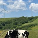 생곡목장2 이미지