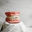 밝은하루치과의원 이미지